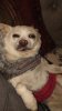Merlin Doped Up 2.jpg