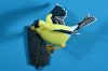goldfinch-02.jpg