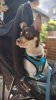 IMG_20230511_172133~4.jpg