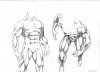 Muscles.jpg