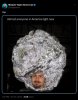 IMG_3220.jpeg
