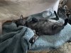 IMG_2073.jpeg