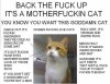 IMG_6856.jpeg
