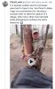 IMG_2235.jpeg