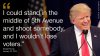 160125114628-donald-trump-quote-shoot-somebody.jpg