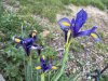 IMG_1053.jpeg