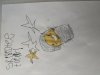 IMG_4416.jpeg
