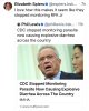 f63ba287-5bc4-4754-ac87-b66a4c4b6afd_1290x1600.jpg