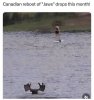 IMG_0257.jpeg