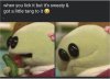 IMG_0355.jpeg