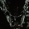 DeadXenoBitch