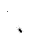 :bugs: