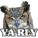 :yarly: